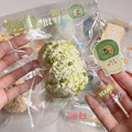予約　一颗豆 Beans スクイーズ 干糯橡皮泥